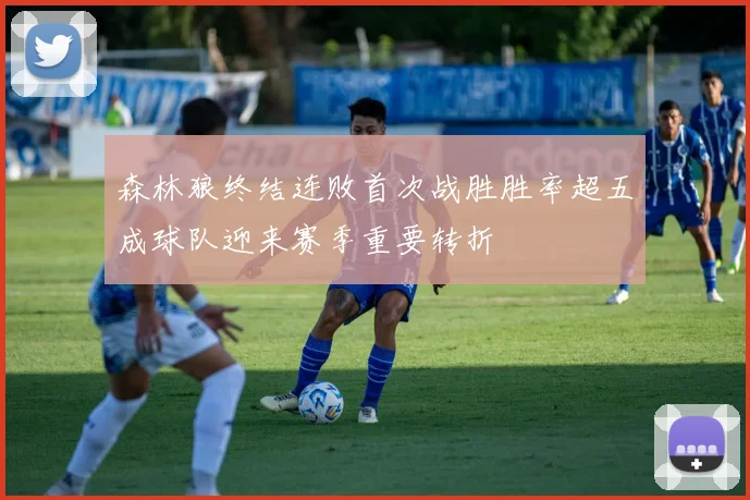 森林狼终结连败首次战胜胜率超五成球队迎来赛季重要转折