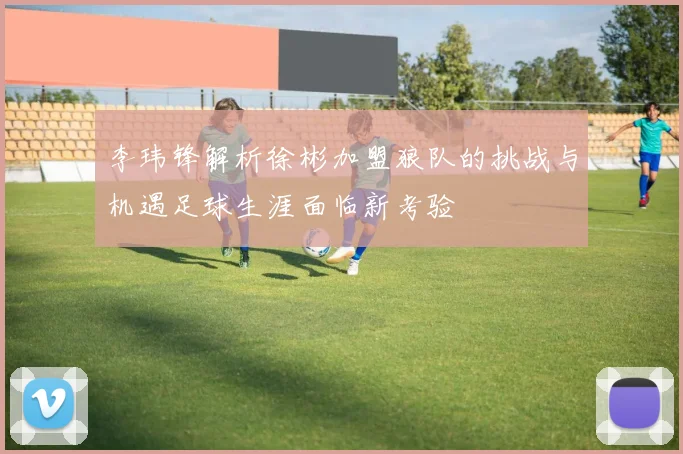 李玮锋解析徐彬加盟狼队的挑战与机遇足球生涯面临新考验