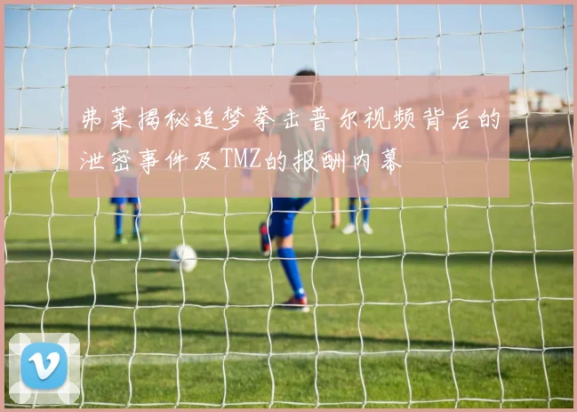 弗莱揭秘追梦拳击普尔视频背后的泄密事件及TMZ的报酬内幕